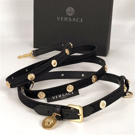 versace dogs|versace dog harness.